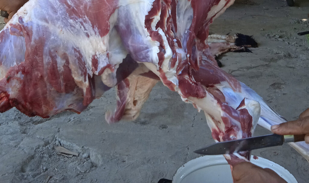 Inovasi Olahan Daging Kambing