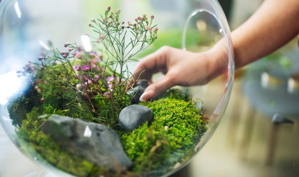 Kambing sebagai Sahabat Ekosistem